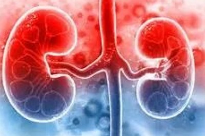 Concerning Increase in End-Stage Renal Disease Among Young Adults: Experts Highlight Alarming Factors