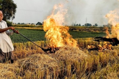 Not Punjab or Haryana: THIS State is Experiencing the Most Stubble Burning Amid Choke Season